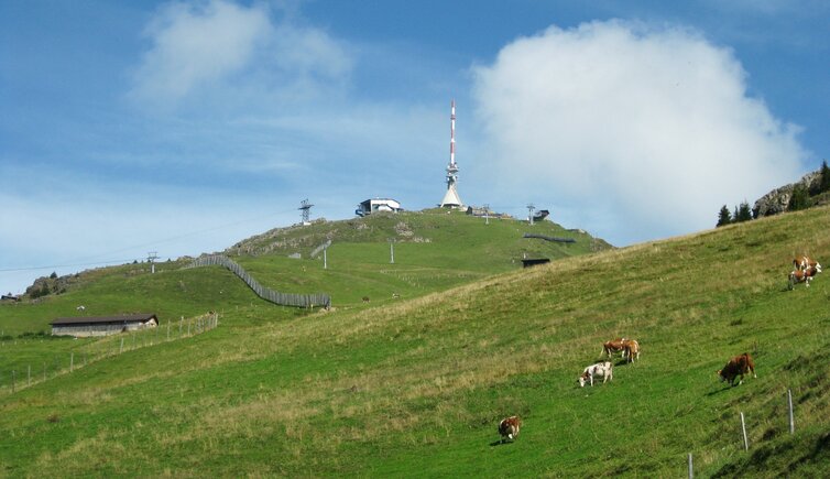 Kitzbuehler Horn