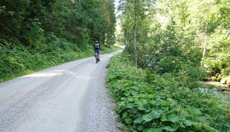 mountain biker auf route almstrasse langer grund