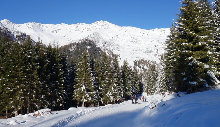 navis rodelbahn stoecklalm