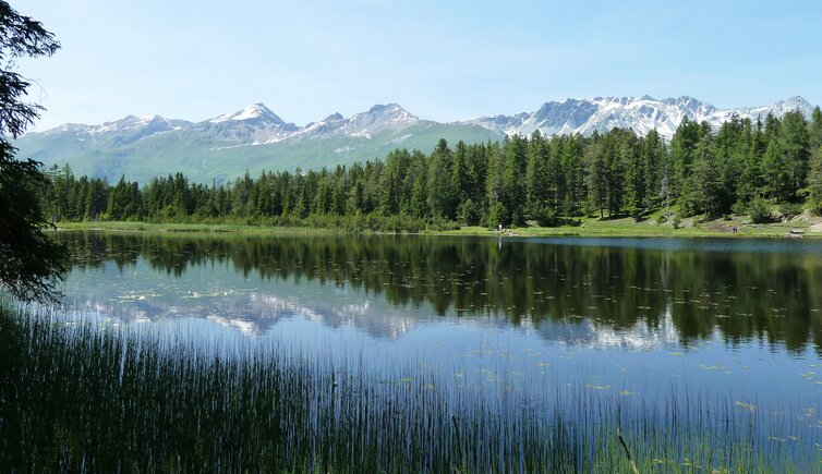 samnaungruppe spiegelt sich in schwarzer see von nauders