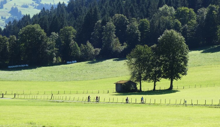 radwanderweg radfaher bei kirchberg in tirol