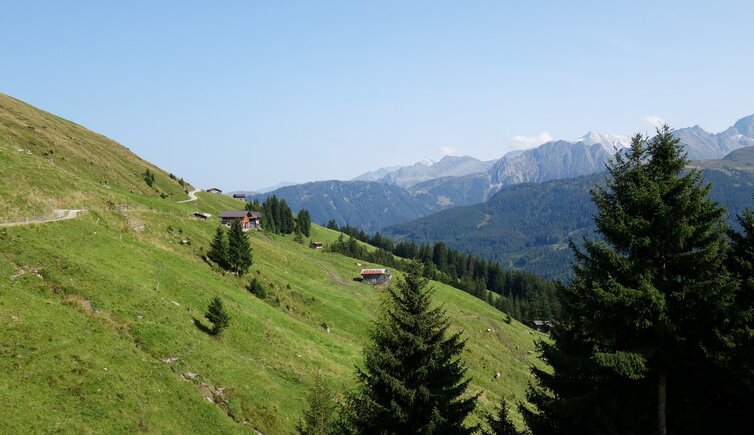 gerlostalalm wiesen