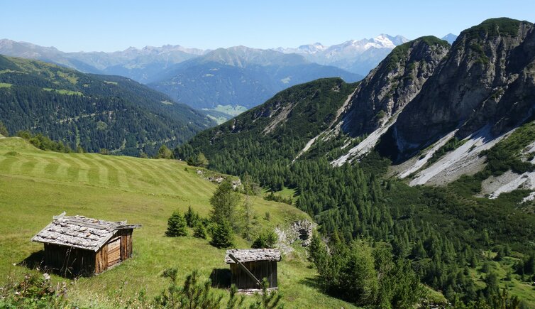 almwiesen und blick auf hohe burg felsen fr