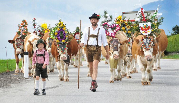 Almabtrieb Reith im Alpbachtal