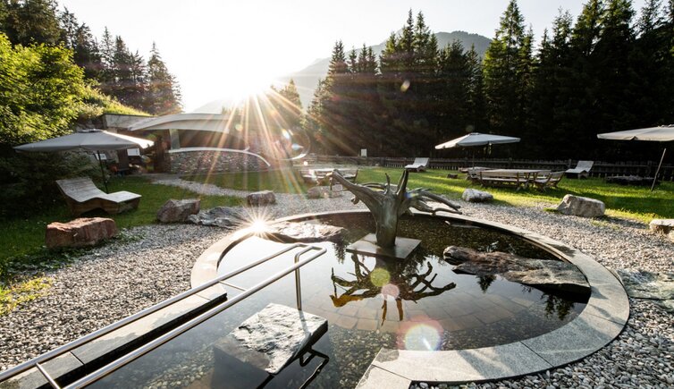 Defregger Heilwasser