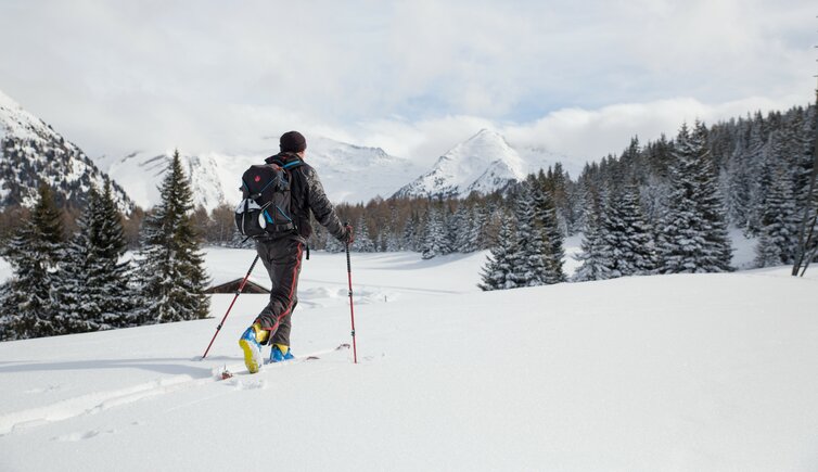 Sattelbergalm Pfons