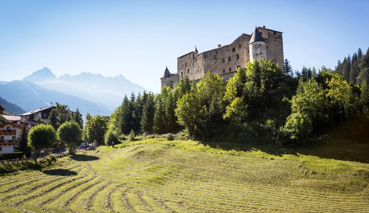 Schloss Sommer