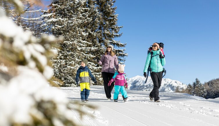 Winterwandern Almpromenade Gerlosstein