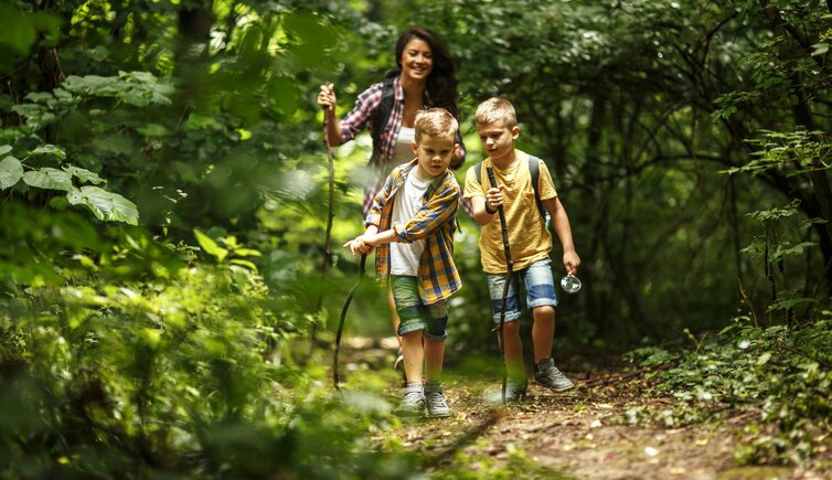 personen wald wandern